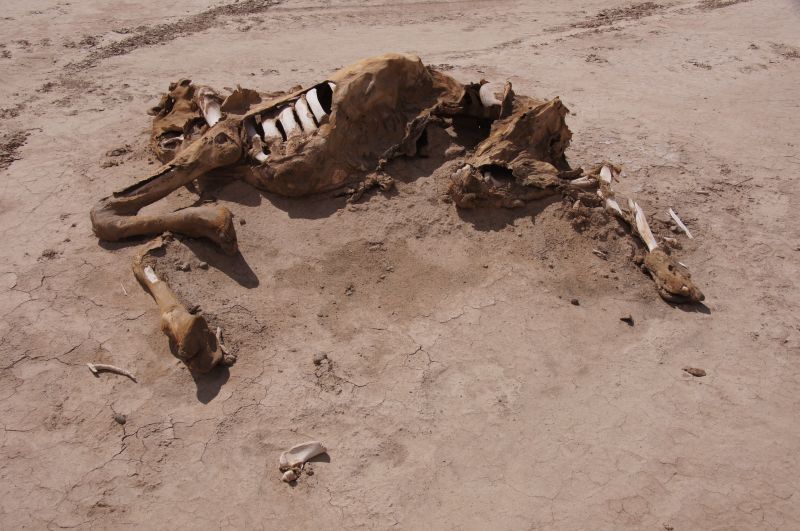 Viewing photos→2015→2015-03-21→168