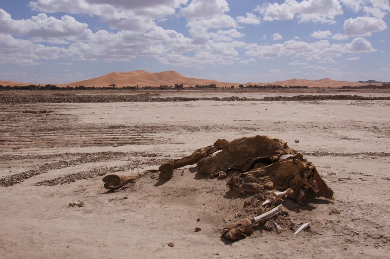 Viewing photos→2015→2015-03-21→170