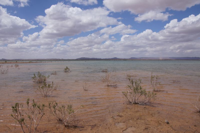 Viewing photos→2015→2015-03-21→181