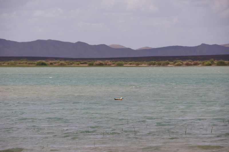 Viewing photos→2015→2015-03-21→185