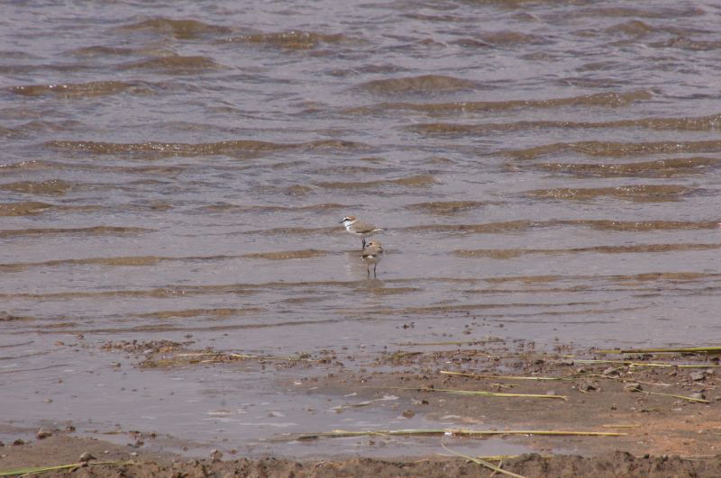 Viewing photos→2015→2015-03-21→186