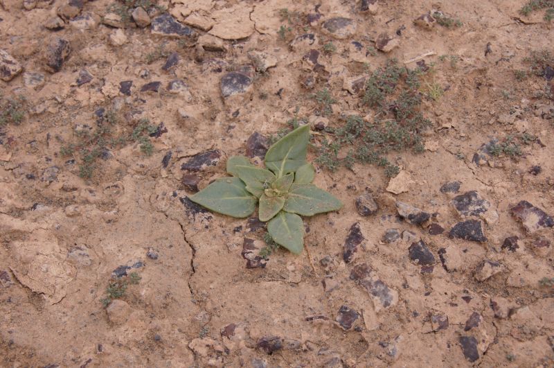 Viewing photos→2015→2015-03-21→188