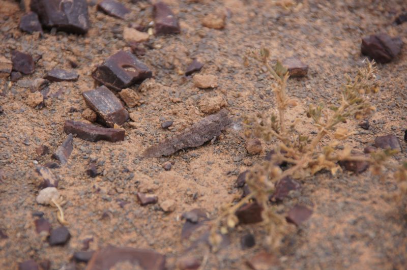 Viewing photos→2015→2015-03-21→191