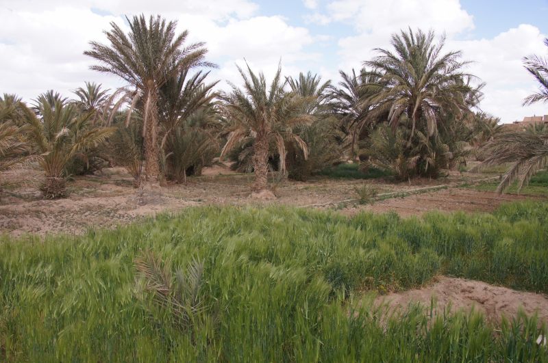 Viewing photos→2015→2015-03-21→199