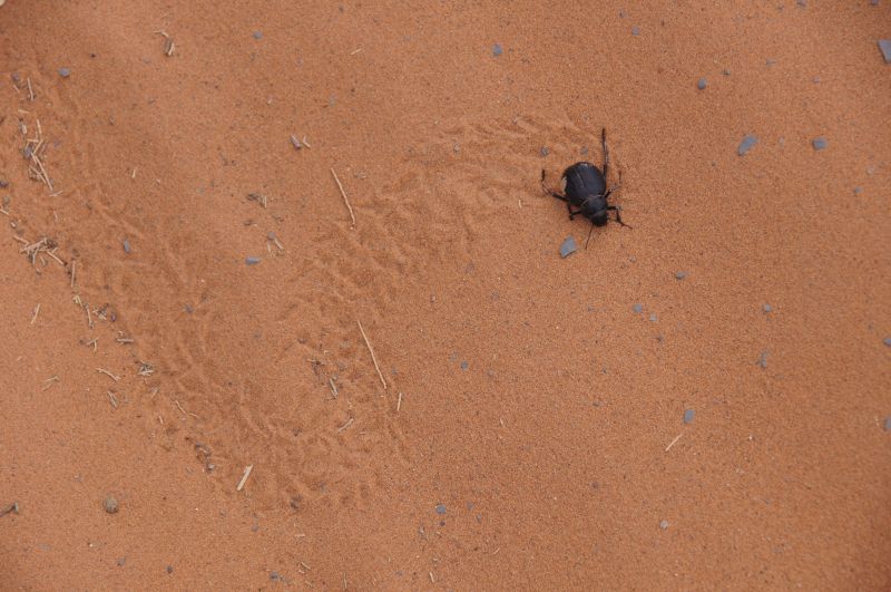 Viewing photos→2015→2015-03-21→204