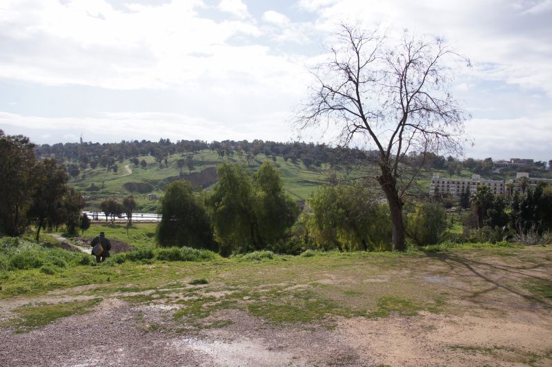 Viewing photos→2015→2015-03-24→005