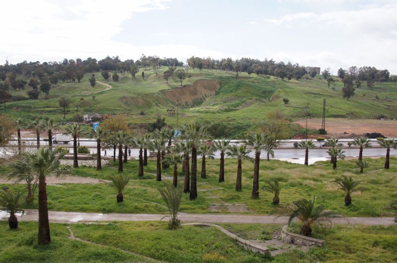 Viewing photos→2015→2015-03-24→012