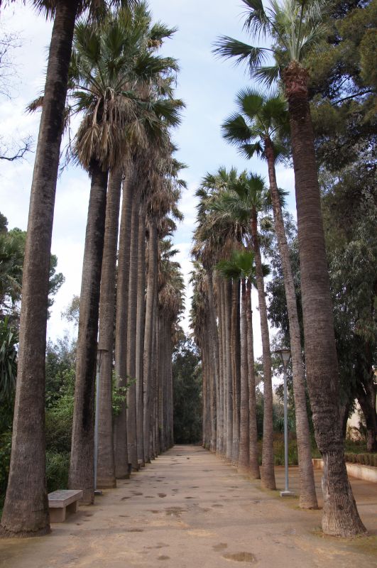 Viewing photos→2015→2015-03-24→030