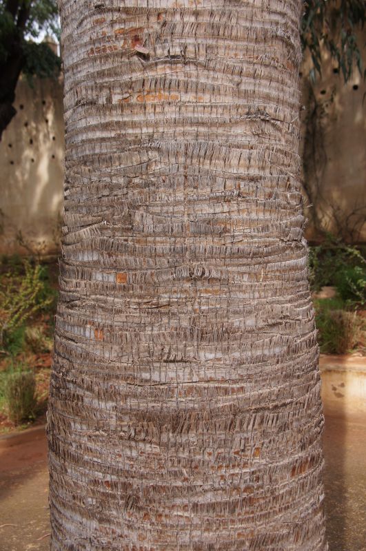 Viewing photos→2015→2015-03-24→031