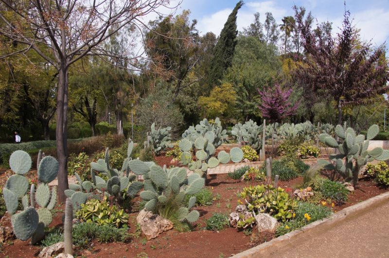 Viewing photos→2015→2015-03-24→033