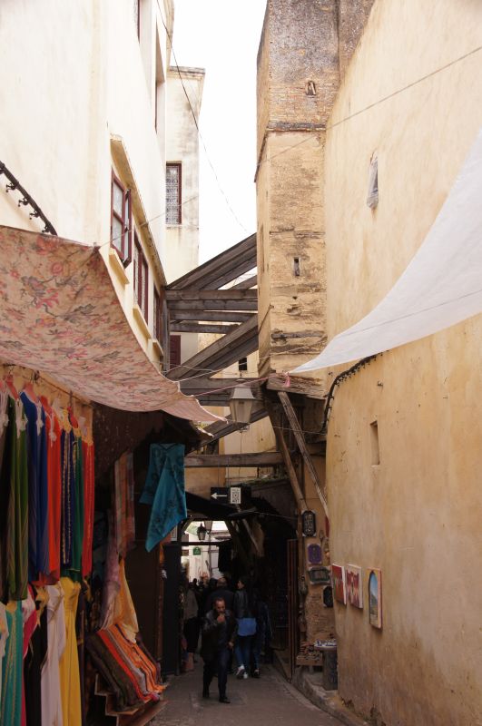 Viewing photos→2015→2015-03-24→043