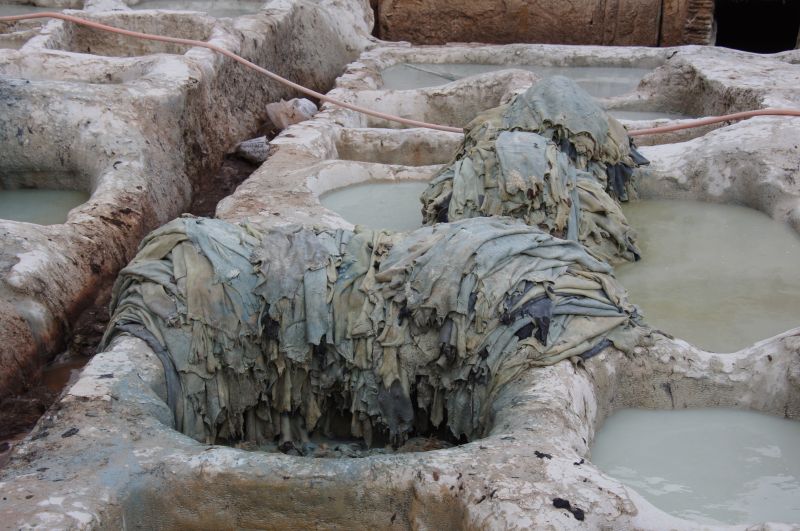 Viewing photos→2015→2015-03-24→086