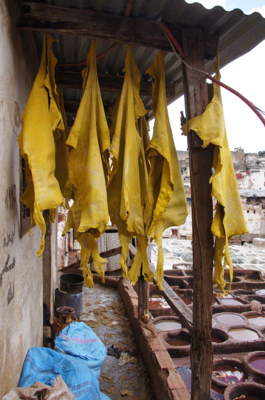 Viewing photos→2015→2015-03-24→091