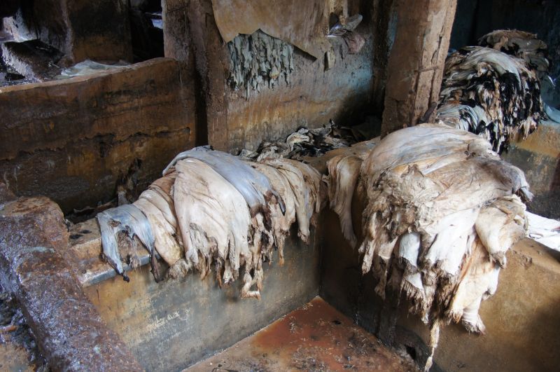 Viewing photos→2015→2015-03-24→096