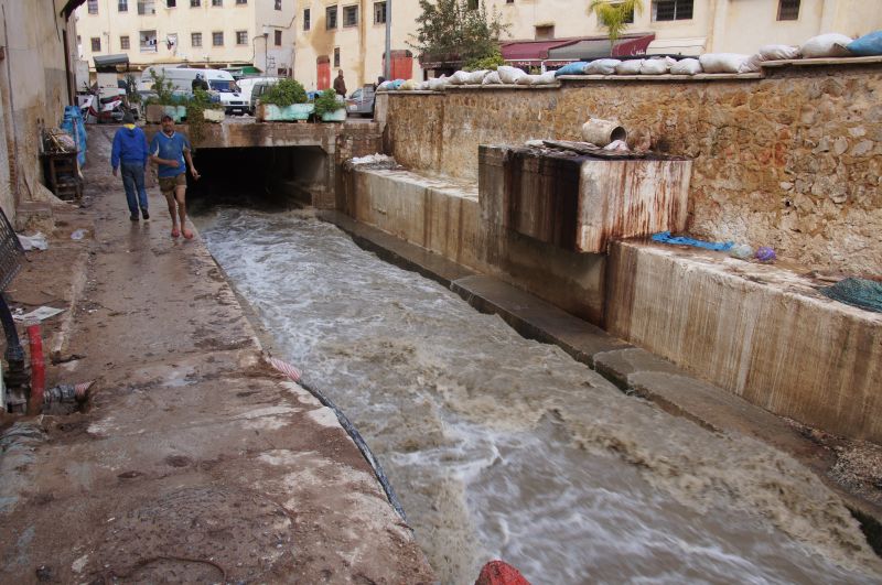 Viewing photos→2015→2015-03-24→099