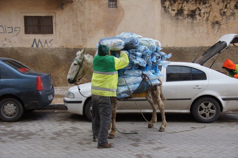 Viewing photos→2015→2015-03-24→106