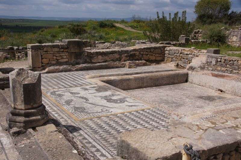 Viewing photos→2015→2015-03-26→15