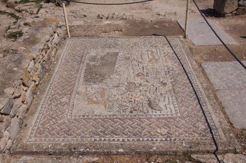 Viewing photos→2015→2015-03-26→34