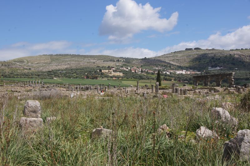 Viewing photos→2015→2015-03-26→43