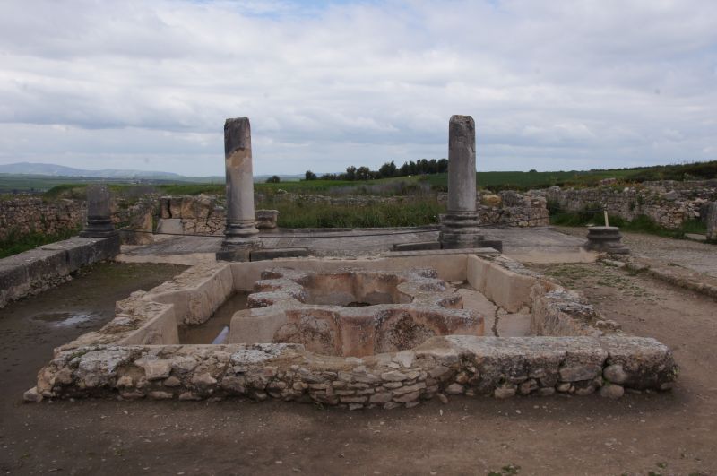 Viewing photos→2015→2015-03-26→48