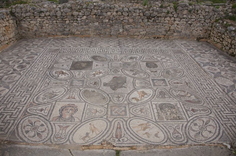 Viewing photos→2015→2015-03-26→49