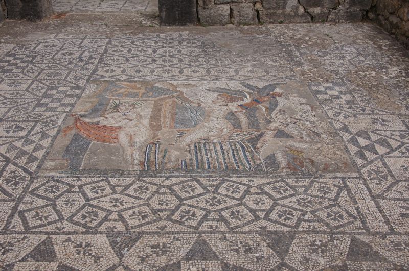 Viewing photos→2015→2015-03-26→55