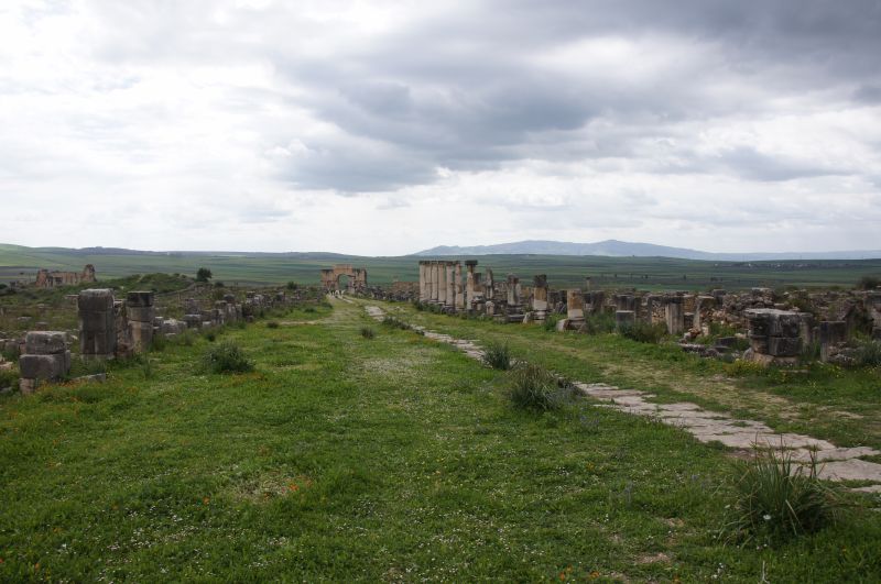 Viewing photos→2015→2015-03-26→56