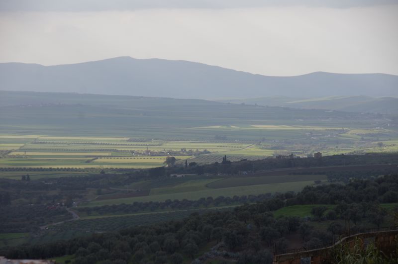 Viewing photos→2015→2015-03-26→61