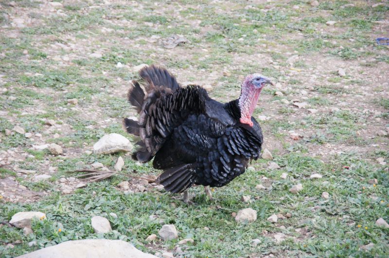 Viewing photos→2015→2015-03-26→64