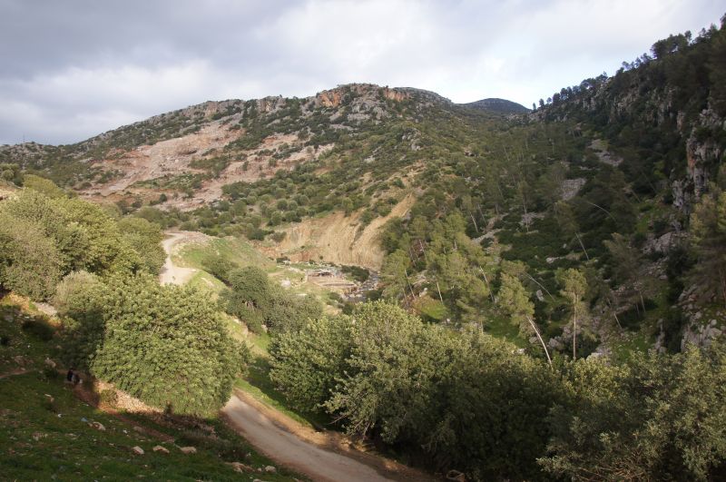 Viewing photos→2015→2015-03-26→66