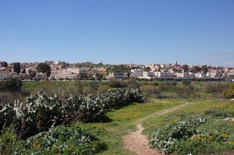 Viewing photos→2015→2015-03-27→03