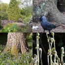 2015-05-03<br/>
<b>Bushy Park, London</b>
