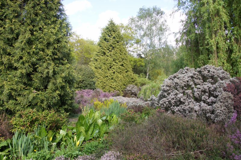 Viewing photos→2015→2015-05-03→01