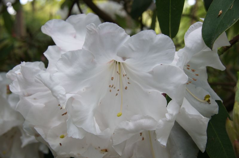 Viewing photos→2015→2015-05-03→04