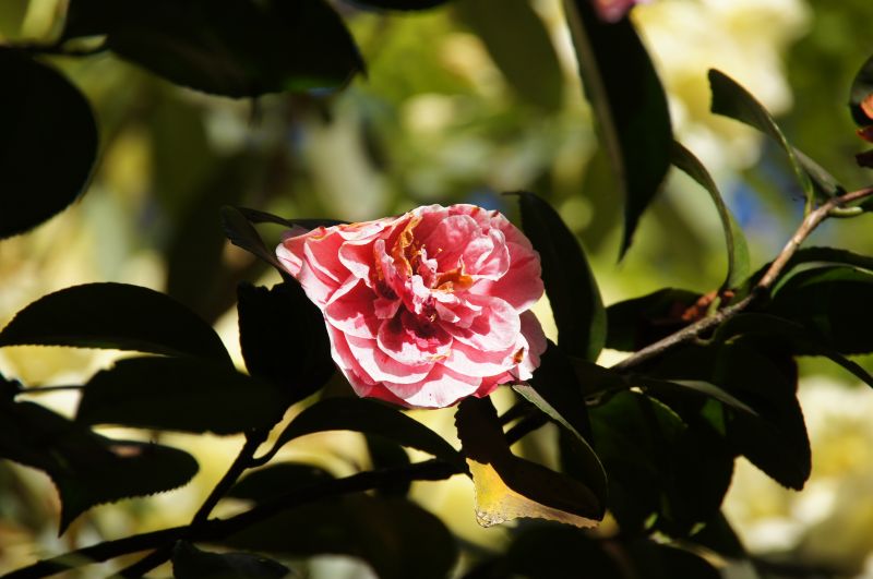 Viewing photos→2015→2015-05-03→05