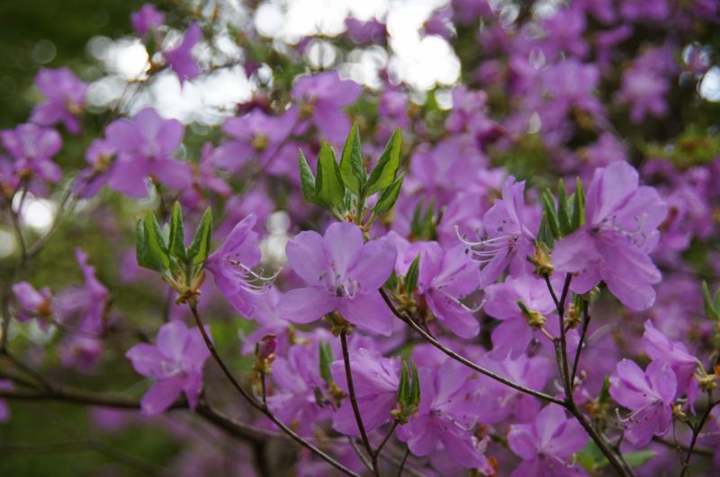 Viewing photos→2015→2015-05-03→08