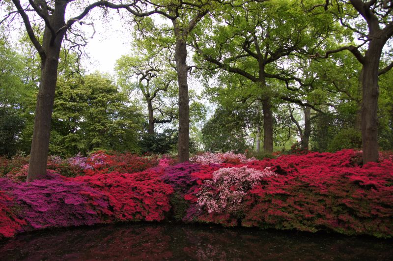 Viewing photos→2015→2015-05-03→09