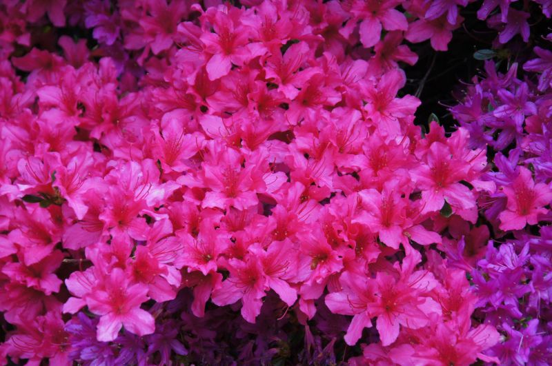 Viewing photos→2015→2015-05-03→10