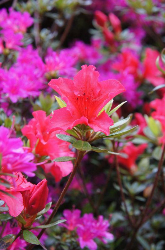 Viewing photos→2015→2015-05-03→11