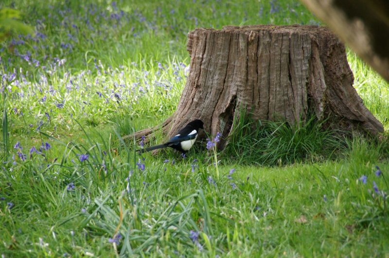 Viewing photos→2015→2015-05-03→12