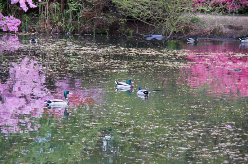 Viewing photos→2015→2015-05-03→16