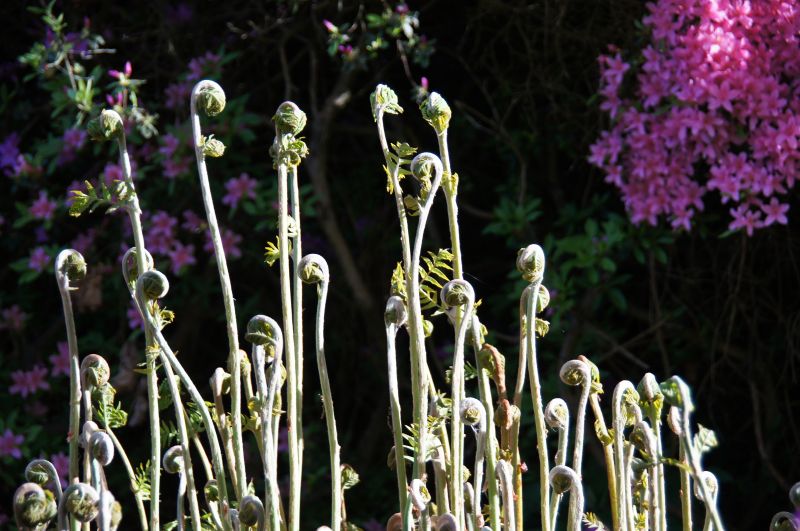 Viewing photos→2015→2015-05-03→19