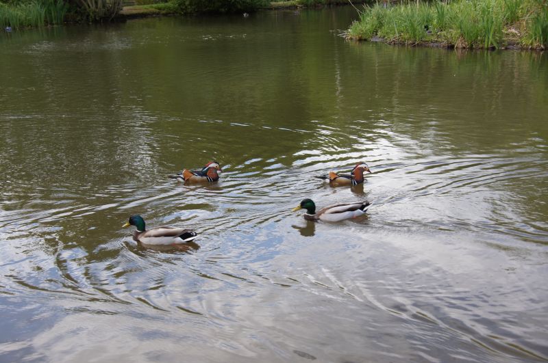 Viewing photos→2015→2015-05-03→22