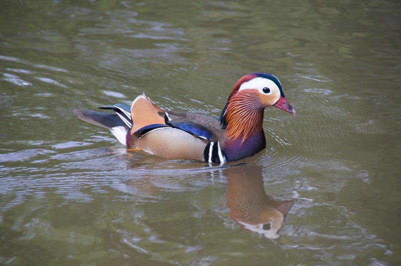 Viewing photos→2015→2015-05-03→23