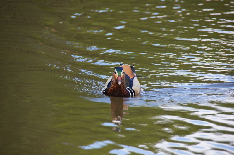 Viewing photos→2015→2015-05-03→24