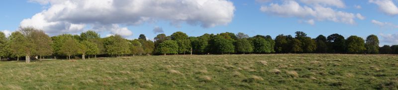 Viewing photos→2015→2015-05-03→25