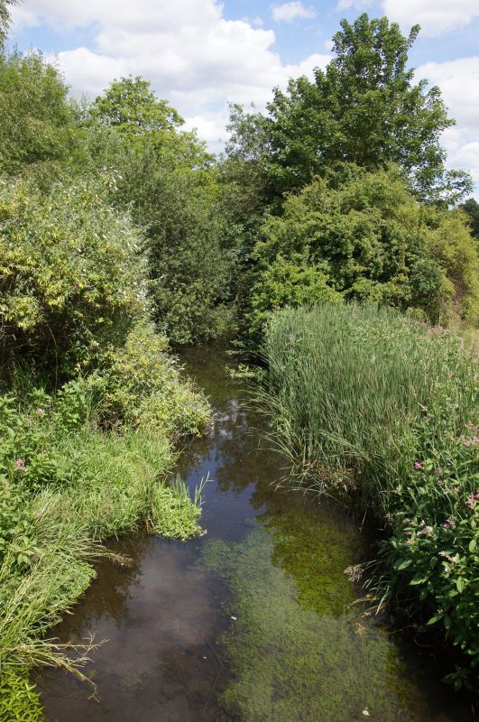 Viewing photos→2015→2015-07-18→09