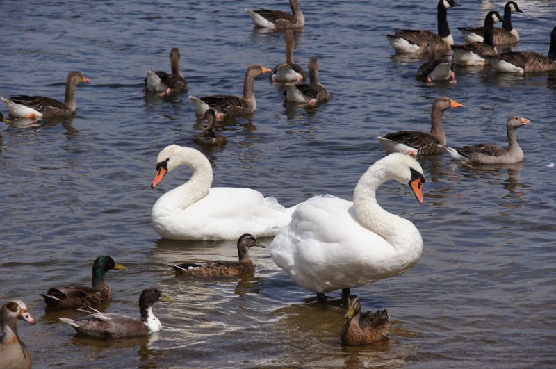 Viewing photos→2015→2015-07-18→14