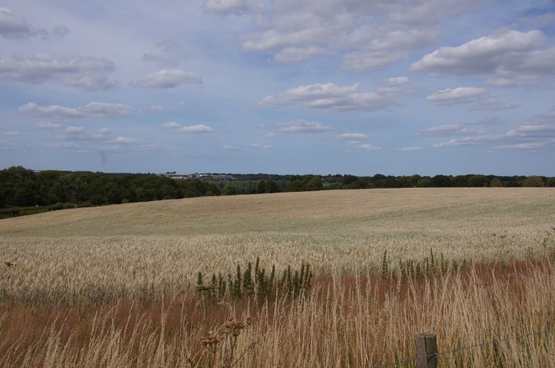 Viewing photos→2015→2015-07-18→24