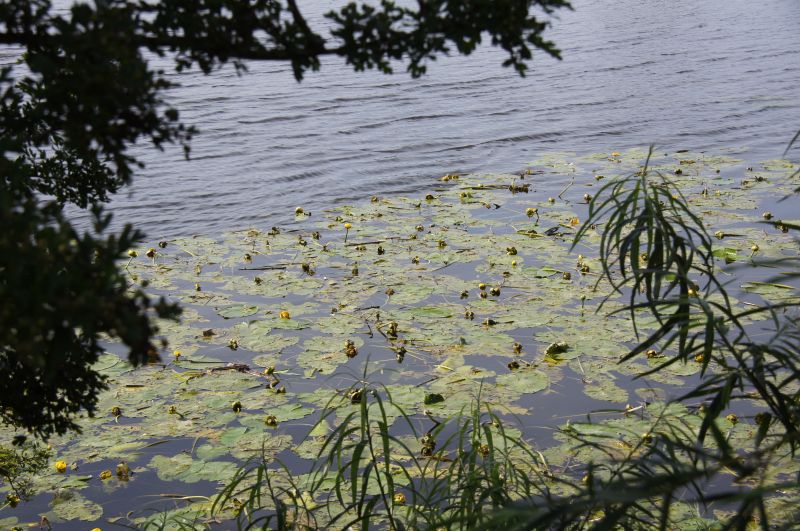 Viewing photos→2015→2015-07-18→28